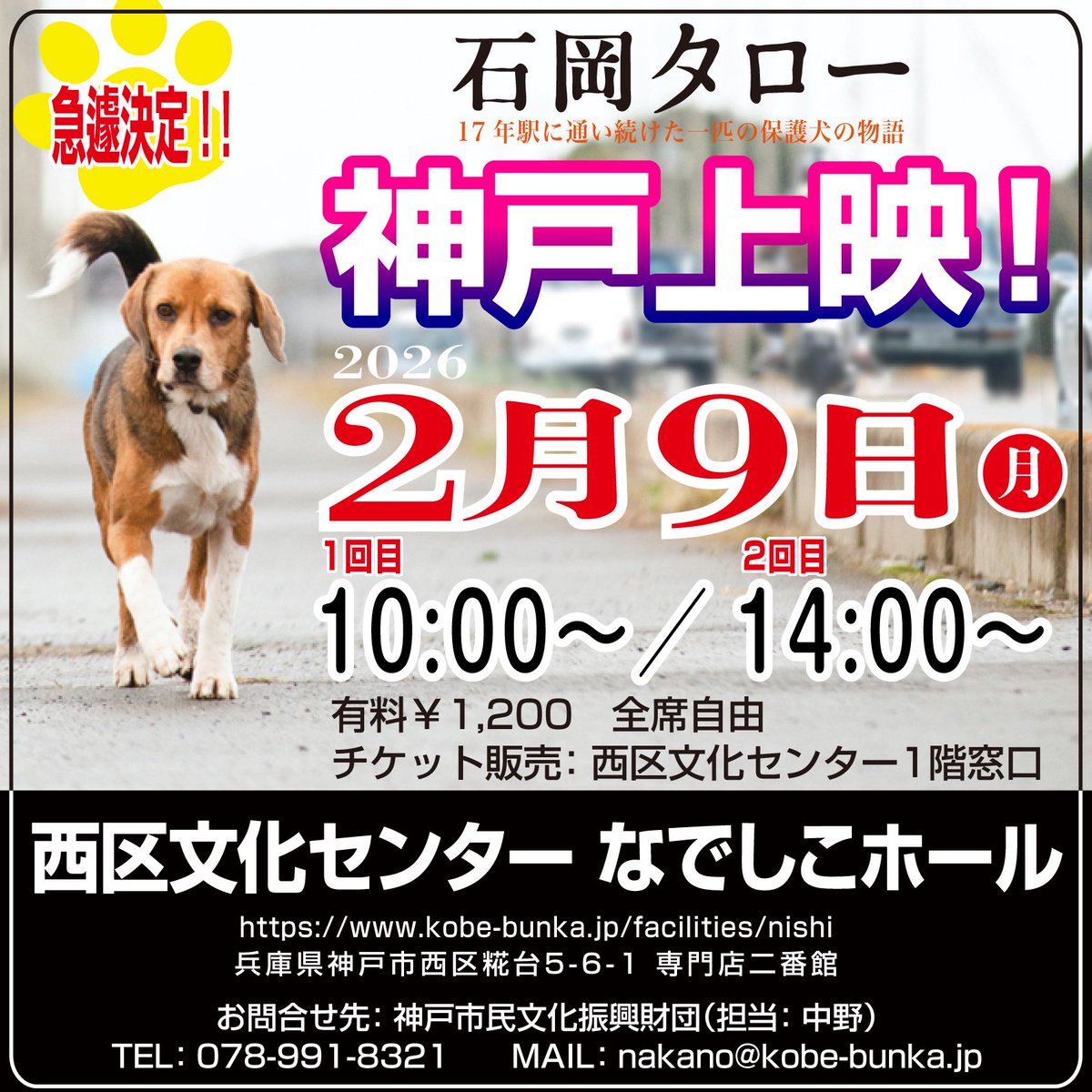 ishiokataro's tweet image. ㊗️『#石岡タロー 』 #神戸 での上映が急遽決定‼️
2026年2月9日（月）
１回目 10:00〜／２回目 14:00〜
#西区文化センターなでしこホール
kobe-bunka.jp/facilities/nis…
￥1,200
チケット販売：文化センター1階窓口
問合せ：神戸市民文化振興財団（担当：中野）
📞078-991-8321
✉️nakano@kobe-bunka.jp