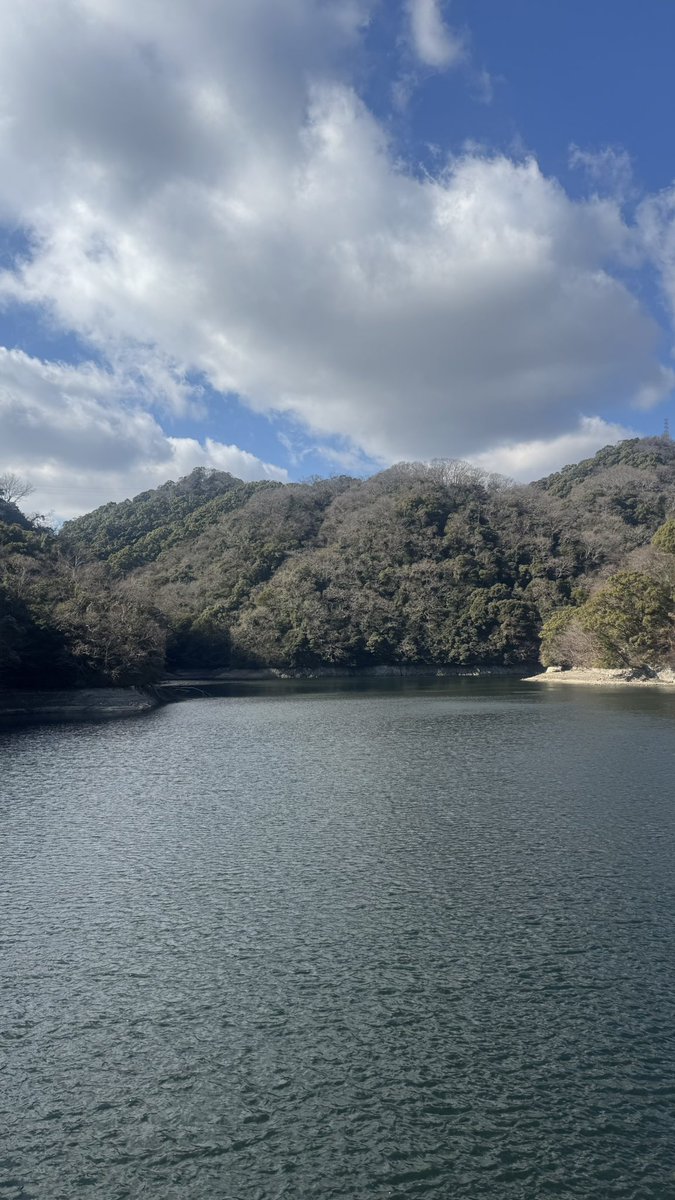 ひかる tweet media