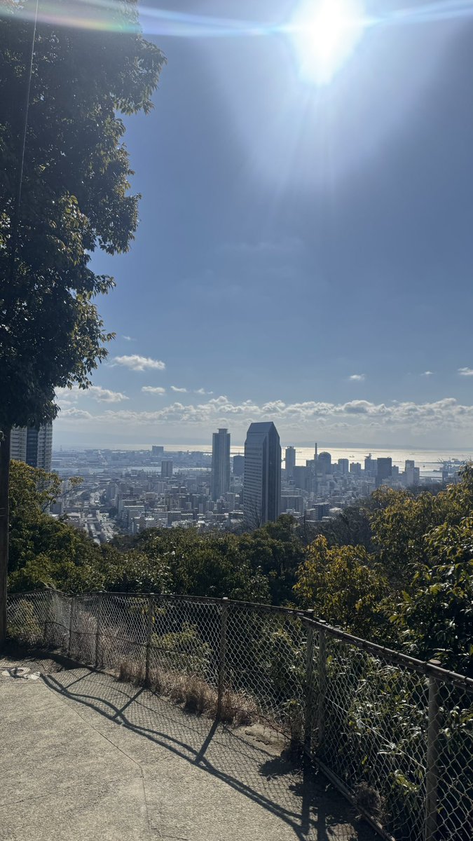 ひかる tweet media