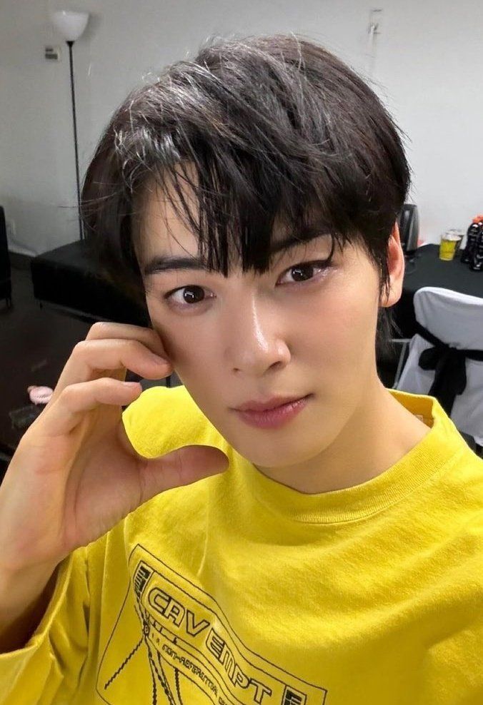 Cha eun woo (@chaeunwoo_123) / Posts / X