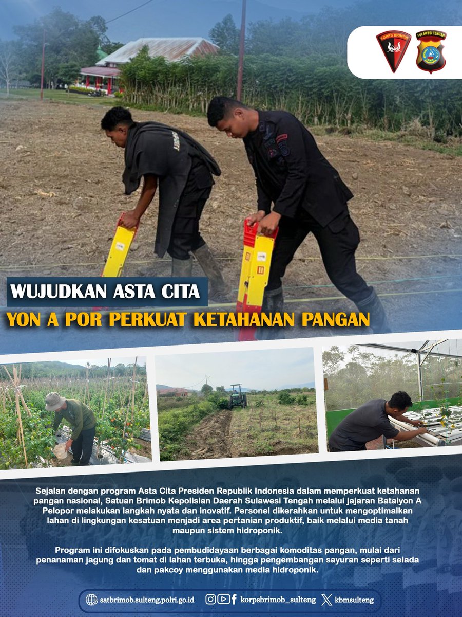 Sejalan dengan program Asta Cita Presiden Republik Indonesia dalam memperkuat ketahanan pangan nasional, Satuan Brimob Kepolisian Daerah Sulawesi Tengah melalui jajaran Batalyon A Pelopor melakukan langkah nyata dan inovatif.