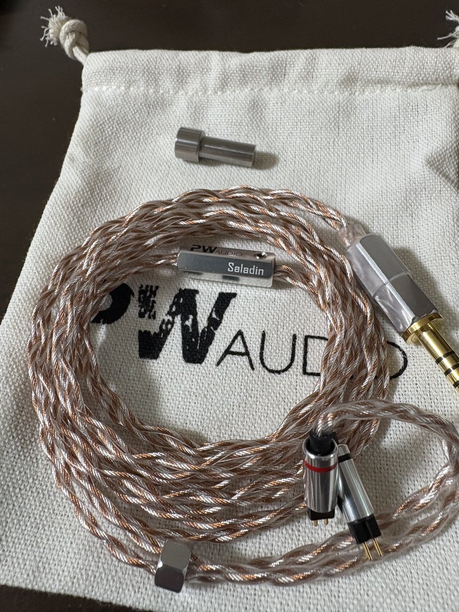 PWAudio Type01 3.5mmが良かったから6.3mmも購入
奇跡的に？誕生日に到着
オマケケーブルはSaladinでした
手持ちだとなかなかケーブルが決まらなかったFAudio Springと音の相性が良かったからSpring用で使っていきます