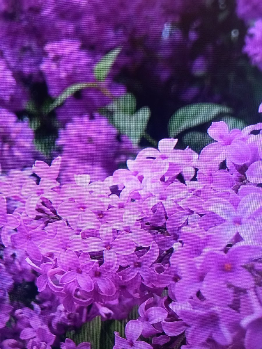 G Ü N A Y D I N.....ülkemin emekten özgürlükten barıştan yana insanları...