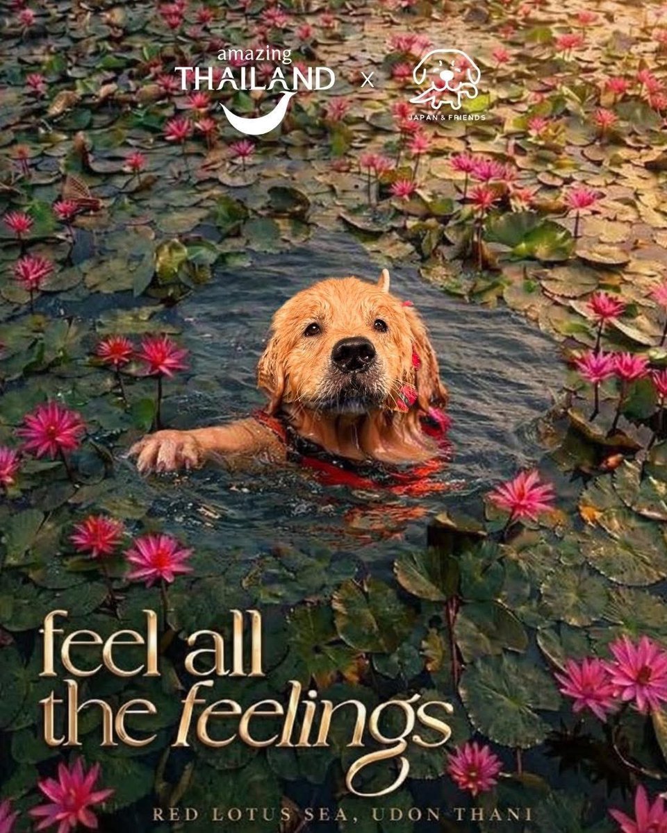 oyivelloud's tweet image. จุ๊มเหม่งงงงงง เรือไปไหนลูก 555555555

#AmazingThailandxLISA 
#FeelAllTheFeelings