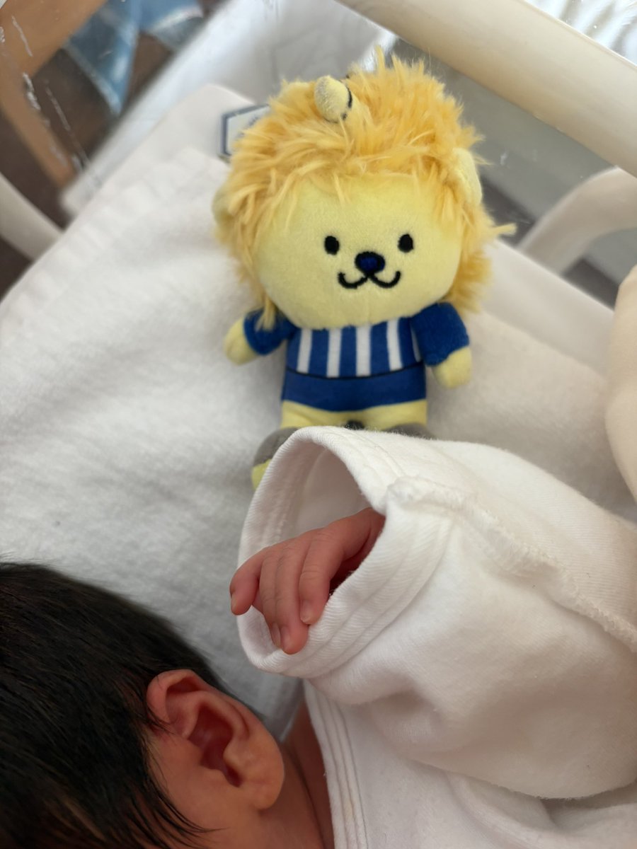 まんたや tweet media