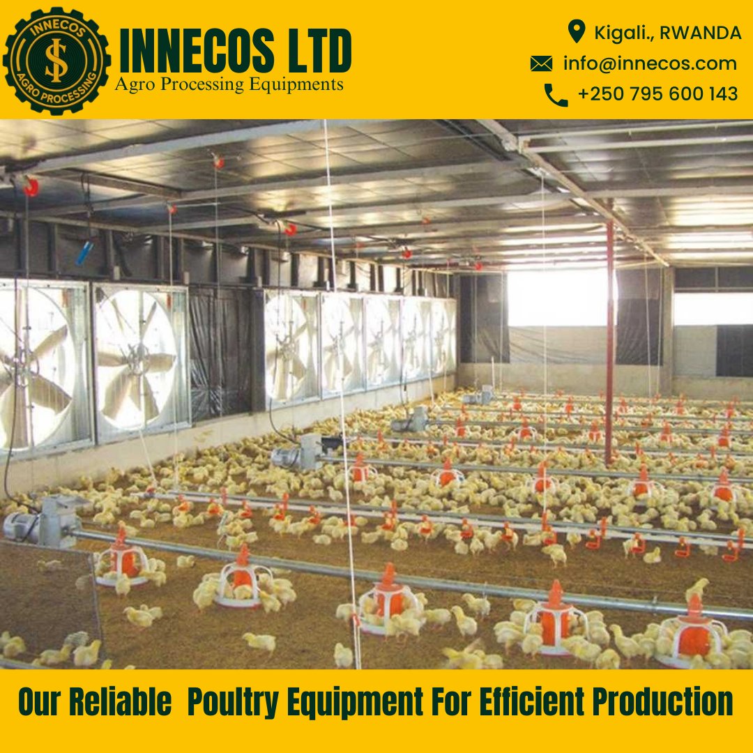 INNECOS's tweet photo. At INNECOS LTD, we supply modern poultry farming and processing equipment designed to improve productivity, hygiene, and bird management.
Our poultry solutions support:
 Efficient feeding and watering, Better housing and bird comfort, Improved hygiene and disease control, Small, medium, and large scale poultry operations

 Call / WhatsApp now: +250 795 600 143
🌐https://t.co/a4NF7ucyp9
📍Kigali, Rwanda
#PoultryFarming #Poultry #Equipments #AgroProcessing #Rwanda #RwandaUpdate #livestockfarming #INNECOS #GreenIsGold @imbwayimpigi  @RwandaAgri @kupal_robinson @Agriculturenott @Agri @RwandaAgriBoard @RwandAgriExport @AgriGoI @Agrimedi @AgrimediaPR @AgriMediaOnline @farmingsim @Farming_SA @AgriView @Agrivolution @SangwaSifa @jcniyomugabo @jkirenga