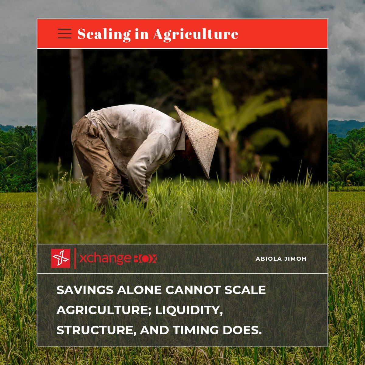 rajabiola's tweet image. Savings alone can’t scale agriculture, liquidity, timing, and structure do.

#AgriValueChain #agrifinancing