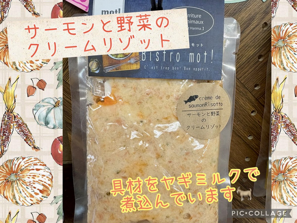 petsalonhug's tweet photo. 三本木店店長が選んだ、
とっても美味しそうな商品をご紹介☺️✨

Bistro mot!
🌟国産かつおのブイヤベース
🌟サーモンと野菜のクリームリゾット
🌟かぼちゃとチキンのポタージュ🎃
🌟国産牛のビーフシチュー

小麦粉や調味料は一切入っておりません✨
三本木店で販売しておりますよ😊 https://t.co/oN0nIVlthi