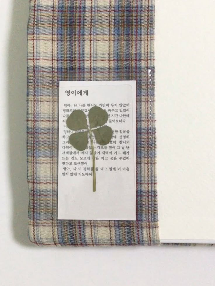 ︎ ︎ ︎ tweet media