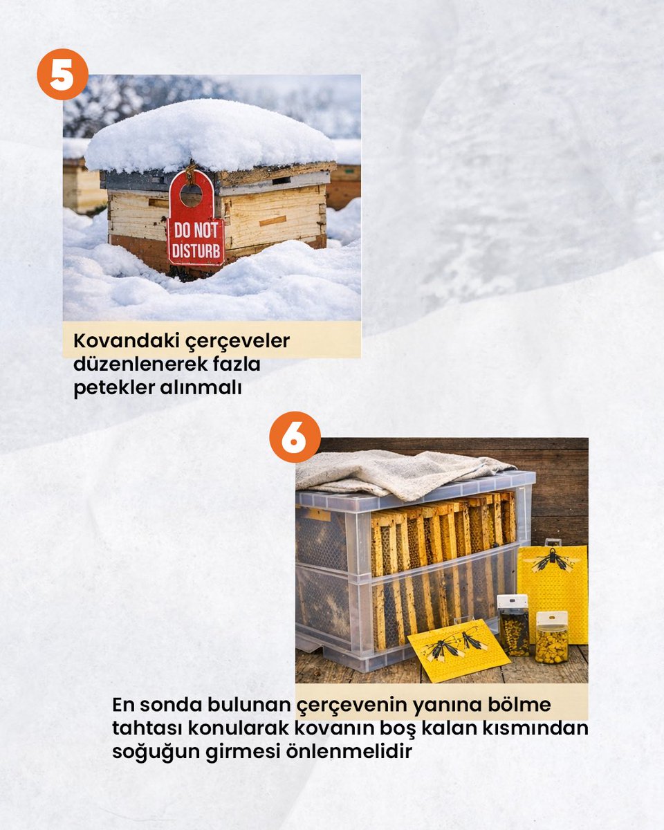 tarimsehrikonya's tweet photo. 🐝❄️ Arılar İçin Kış Hazırlığı

Arılarınızın sağlıklı bir kış geçirmesi için doğru adımları atmak çok önemli. 

Uçma deliklerini daraltın, fazla petekleri alın ve kovanı koruma altına alın. Bu basit önlemlerle arılarınız kışa hazırlıklı olur. 🍯

#TarımŞehriKonya #Arıcılık https://t.co/2sQBVGqjNG