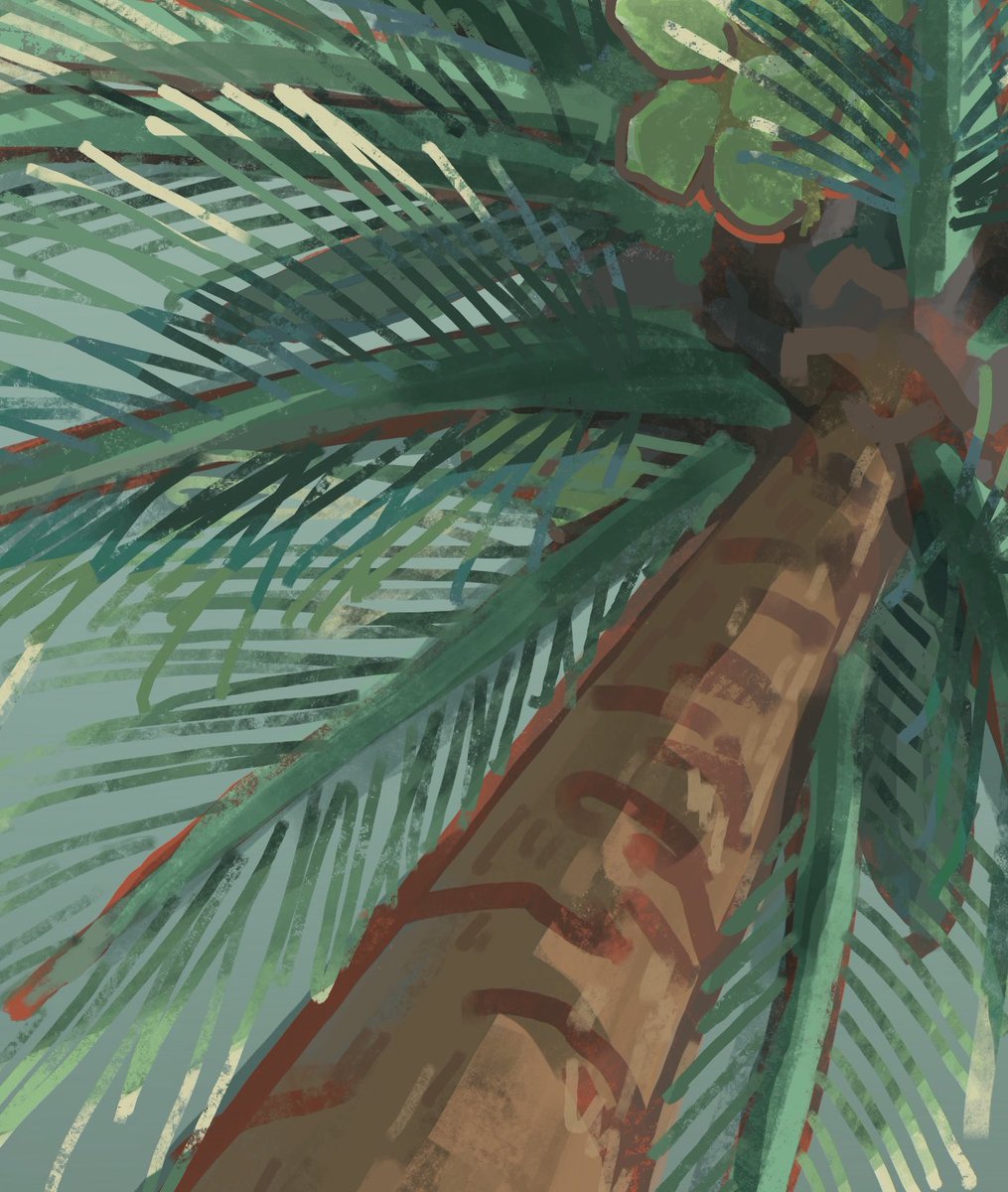 煮車🧳 tweet media