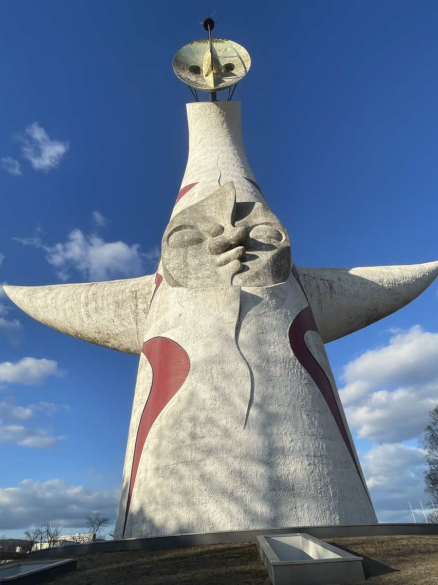 Wako Iwamoto tweet media