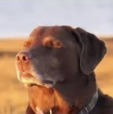 Maria Altagracia ⛪️✨️ Graduation Q4 '26 tweet media