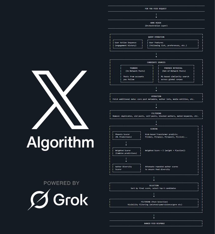 Xのアルゴリズムが変わって、従来とは完全に別のゲームになってきたよ