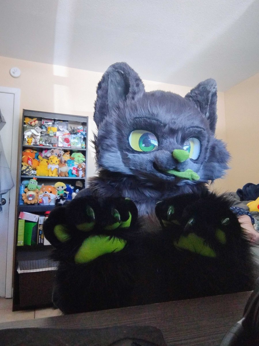 Mr_Chibi7's tweet image. #FursuitFriday
Happy Fursuit Friday &amp;lt;3
May your day be full of happyness and bean joy!