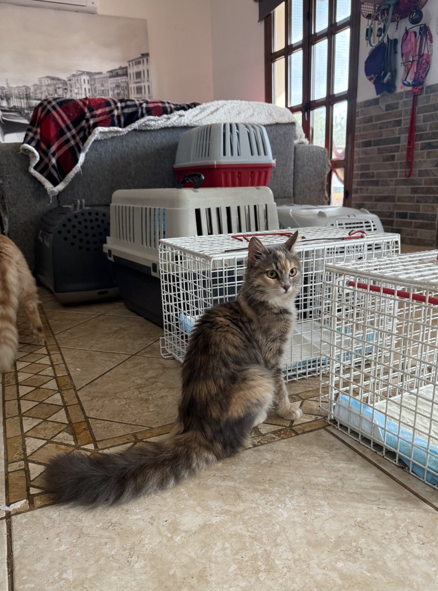 Angry Anna❤️‍🔥 tweet media