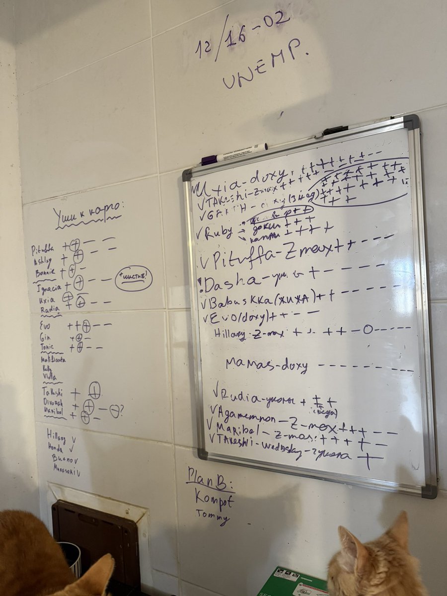 Angry Anna❤️‍🔥 tweet media