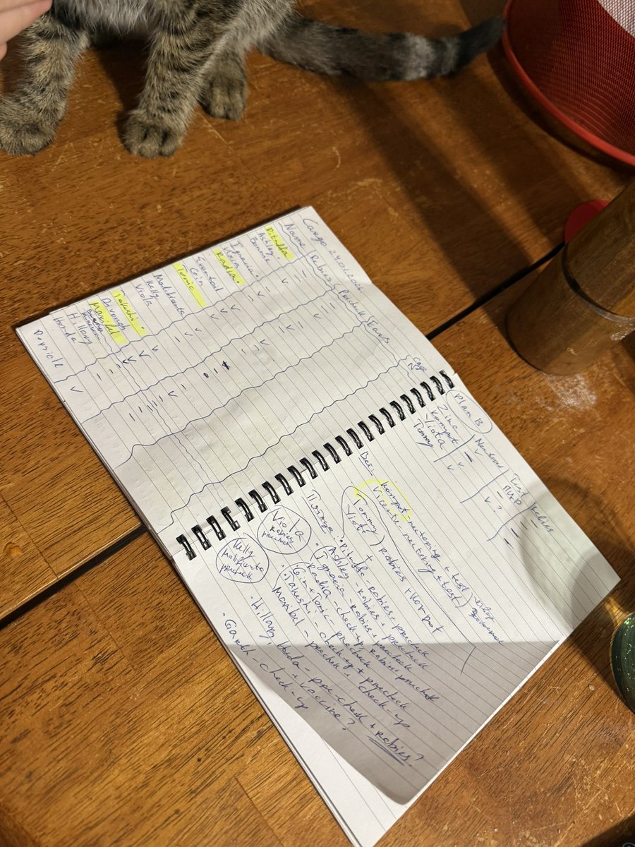 Angry Anna❤️‍🔥 tweet media