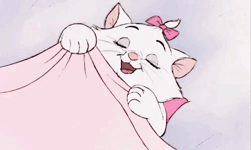 juaybuyi's tweet image. opfooooll. 👀💓

i. folloo buyii @juaybuyi 
ii. rt tweet ini &amp;amp; like tweet ini ❤️
iii. reeepeefplyy!