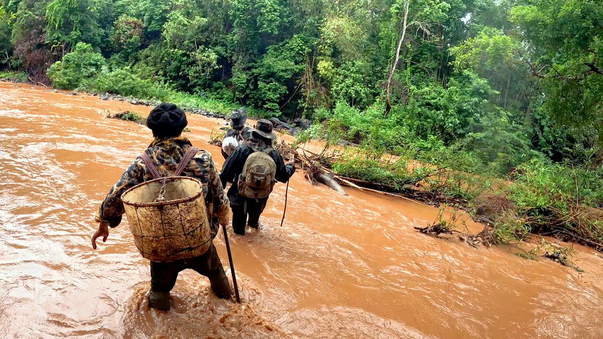 究極の #ハチミツ #エイプリルハニー 探しの旅】 #ハニーハンター