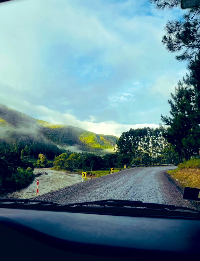 Home bound 🚙 
Just me, fog, and roads that don’t ask questions 🫠
Weekend Mode ON 💃🏻
#FridayVibes 💫