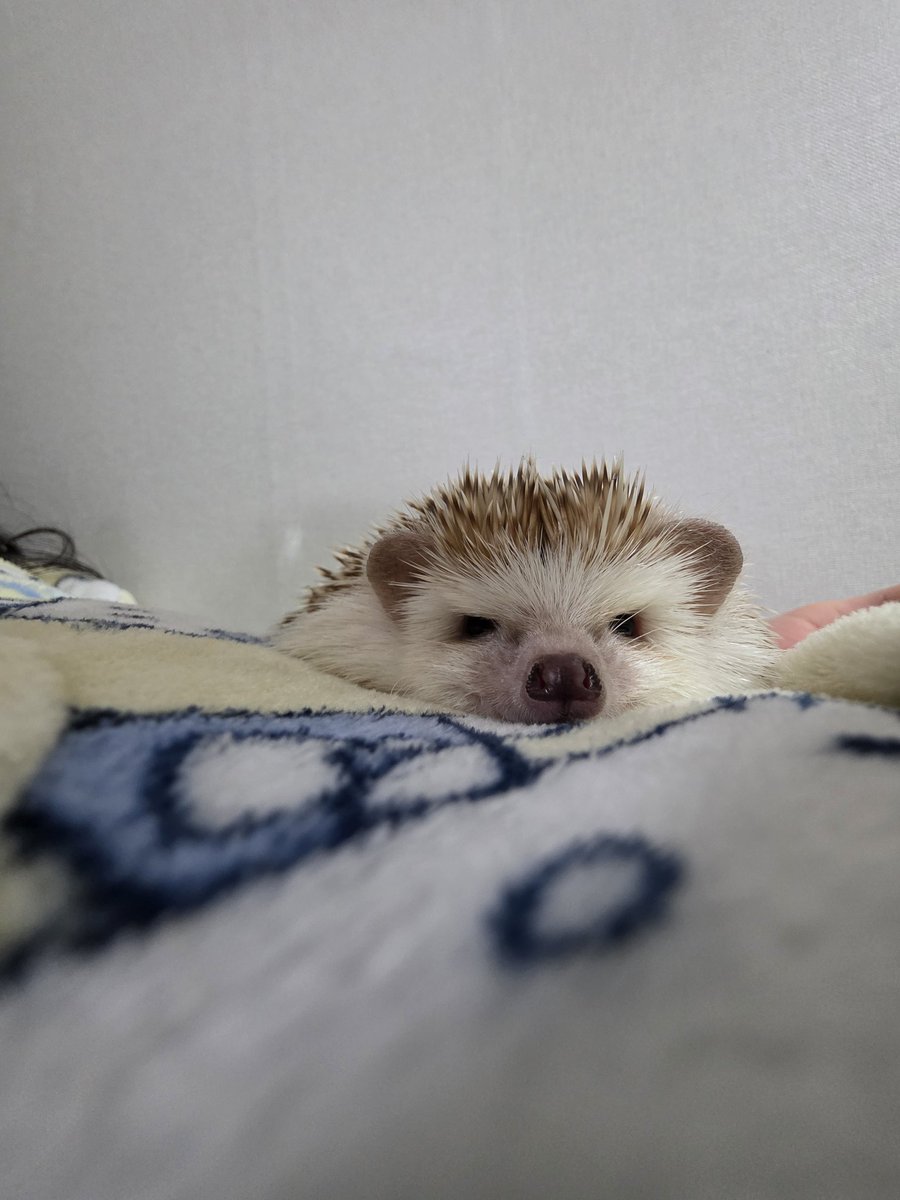 팥알갱이가 한개 붙어있네