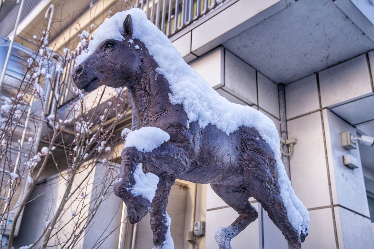 Kasamatsu_Town's tweet image. 笠松町にも雪が積もりました⛄️
白く染った町並みは、いつもとは違う静かな表情です。
寒さの厳しい寒波が続く予報ですので、外出の際はお気をつけください🙇🏻‍♀️

⁡(撮影:古田町長)

#笠松町 #岐阜 #雪景色 #冬の風景