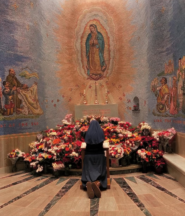 reina_padua's tweet photo. Quien ama a su Madre, Ave María Purísima, lo expresa de cualquier forma, porque no tiene complejos. https://t.co/nCDpyKG83u