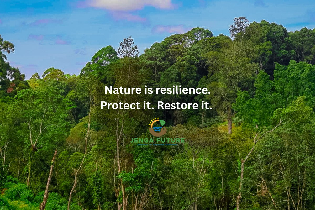jenga_future's tweet image. Nature is Resilience. Protect it. Restore it. 🌍💚
#ProtectNature #NatureForResilience #ClimateAction #ClimateResilience #RestoreNature #ForestWhisperers #SustainableFuture #NatureBasedSolutions