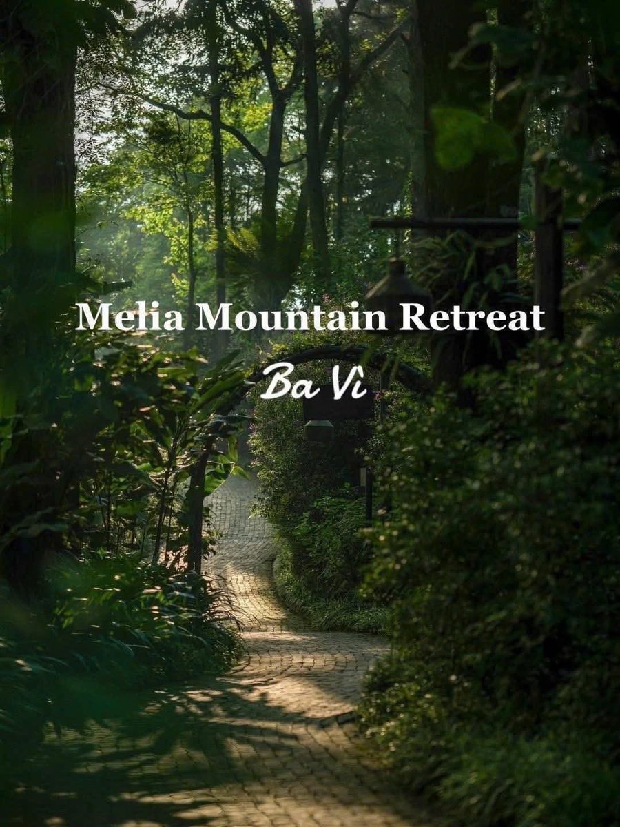 ThuNganVNE's tweet photo. 🎄 MELIA BA VÌ MOUNTAIN RETREAT 5⭐
#Vietnam #retreat #vietnam #traveling #travel #bavi #hanoi https://t.co/YKqCVtMPll