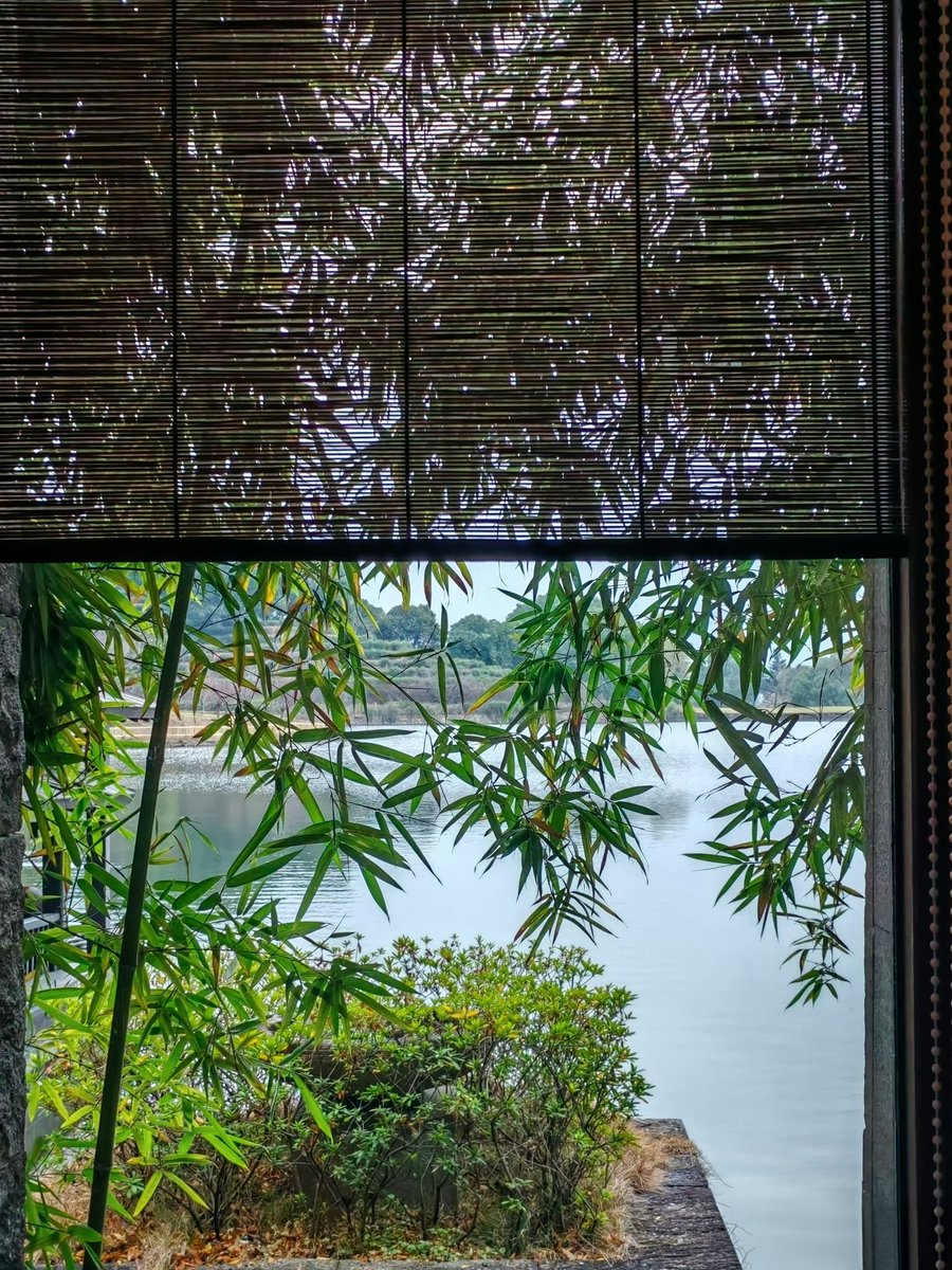 在你身上千万次飞翔 tweet media