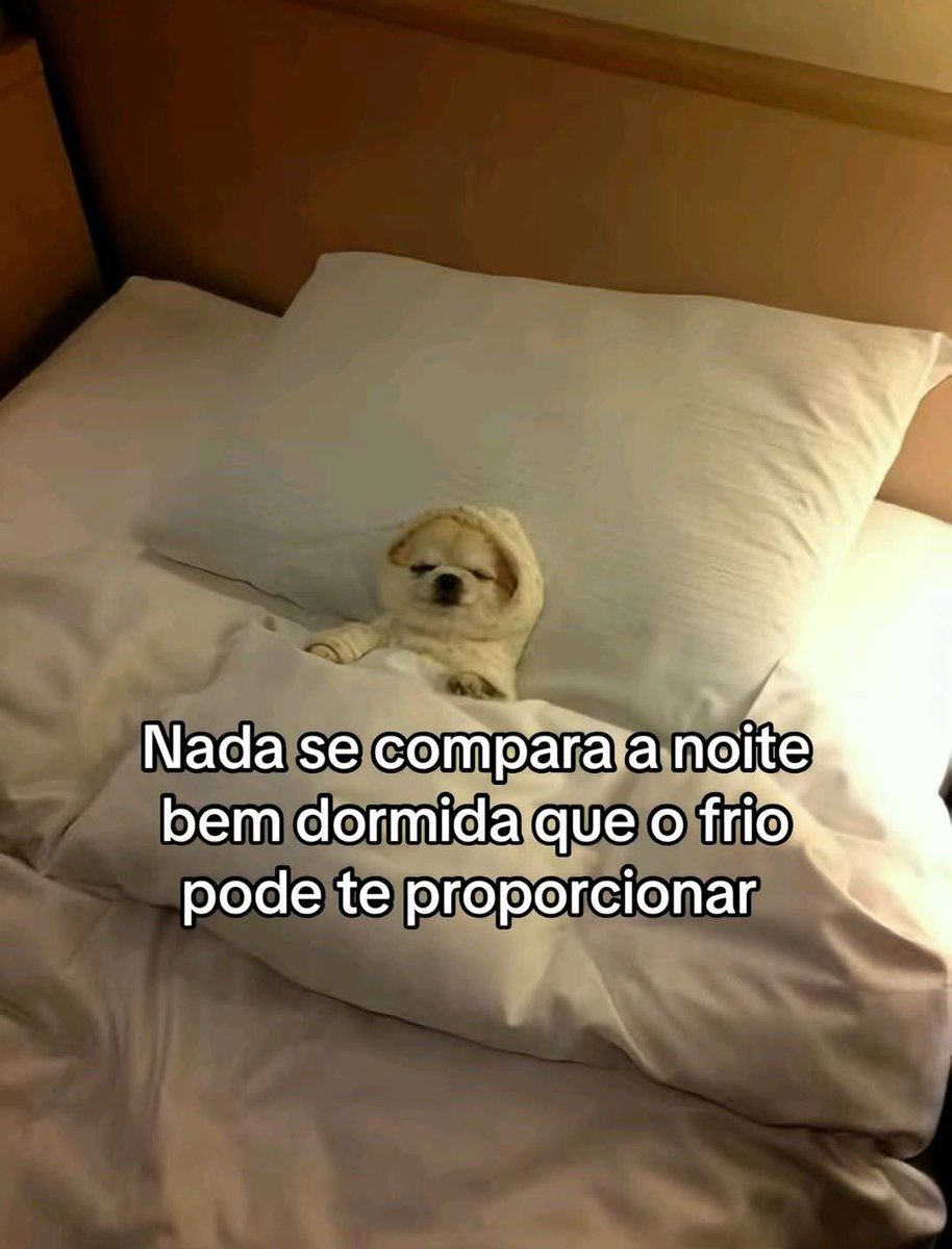 sobreteucaos's tweet image. 