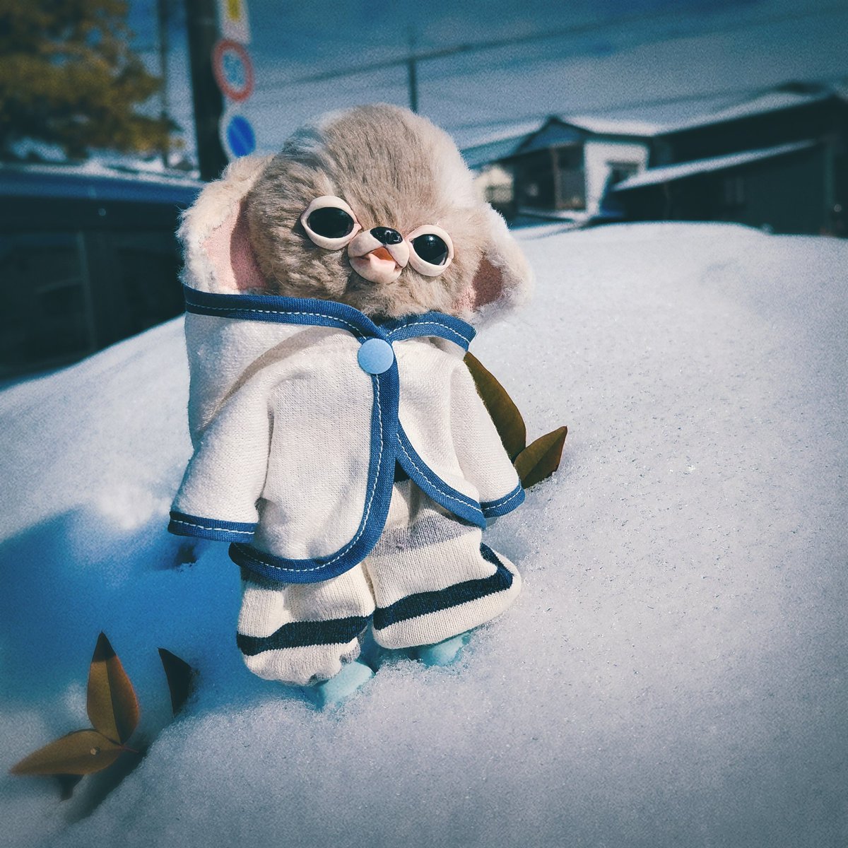 ⛄🐾🐾 #チワボボちゃん #ぬいぐるみの時間 #ぬい撮り