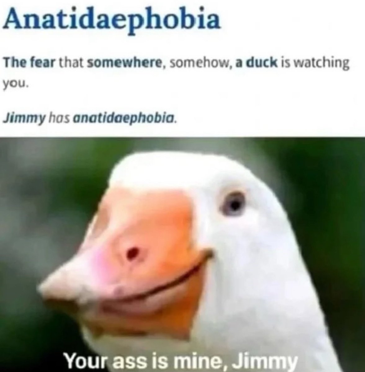 RespectfulMemes's tweet image. 