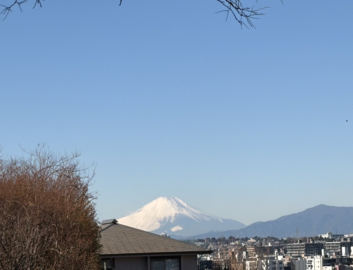 Tamago009's tweet photo. 旅行2日目
娘のリクエストで「山手西洋館」へ。丘の上に建物があり坂道がキツすぎて7館中2館で断念😫でも富士山が見られた🗻
中華街へ行くも食べ慣れないものは難しいと昼ごはんは結局駅の立ち食いそば。久しぶりに食べたけど美味しかったなぁ😋
楽しい2日間でした✨️ https://t.co/2s20hETx8O