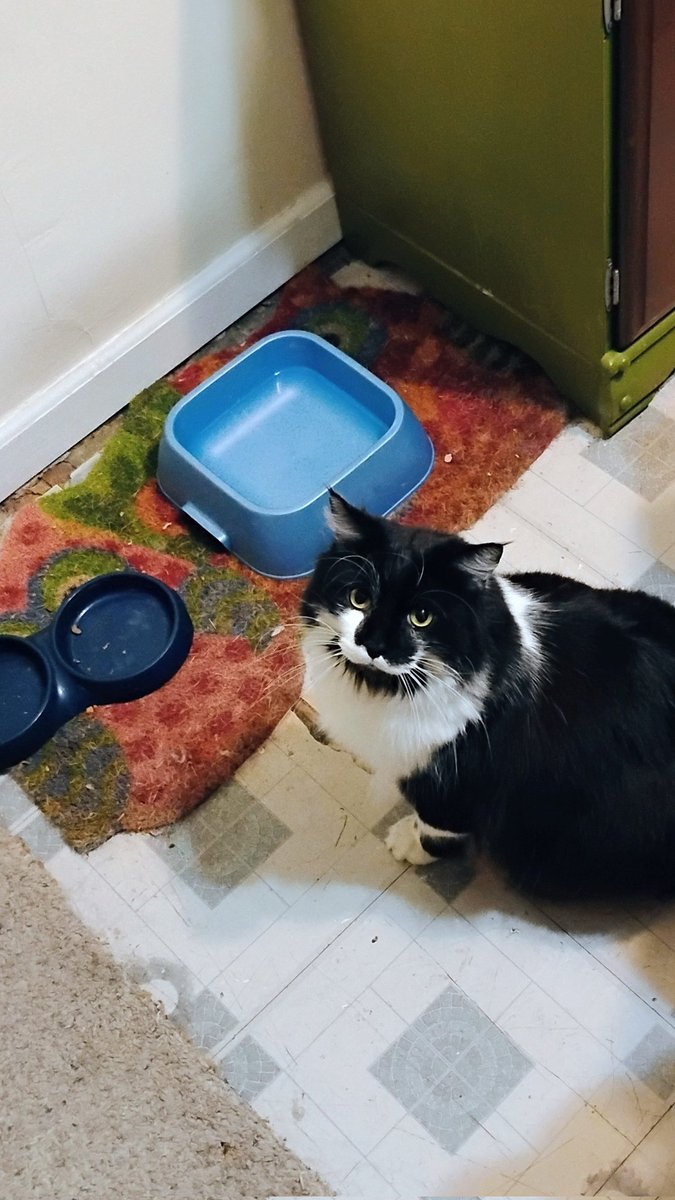 Selene Sebastian Diego and Leonidas (@selenediego2022) on Twitter photo 