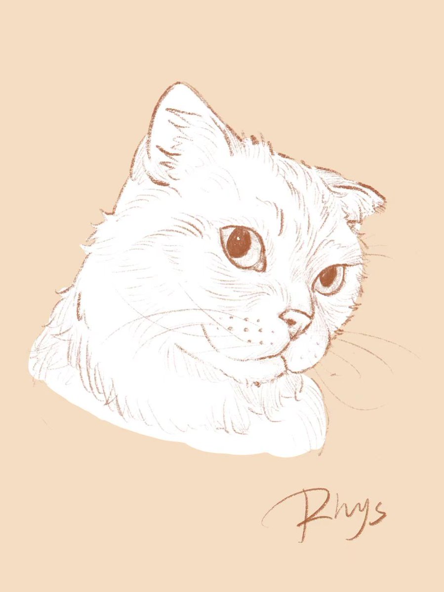 PengZhou7927's tweet photo. Finally free from exams! 🎉 
Feeling so happy to return to drawing and hanging out with all you wonderful furries and artists ♡
What have I missed? 🐾✨
#Furry #FurryArt #FurryArtist #FurryFandom #Cat #Kitten #Anthro #FurryCommunity https://t.co/hLiCpmrjkc