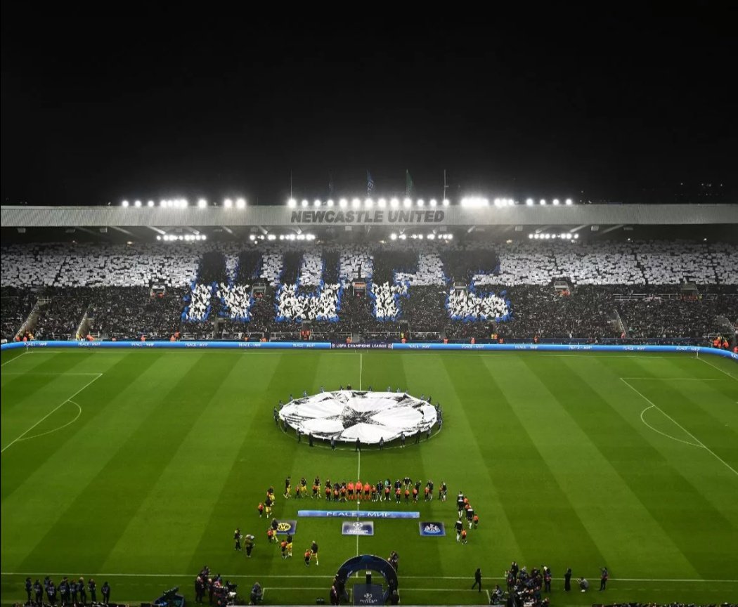 Magpie 24/7 tweet media