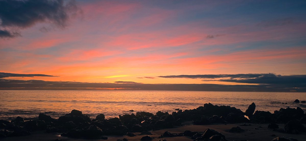 JOHN McMILLAN tweet media