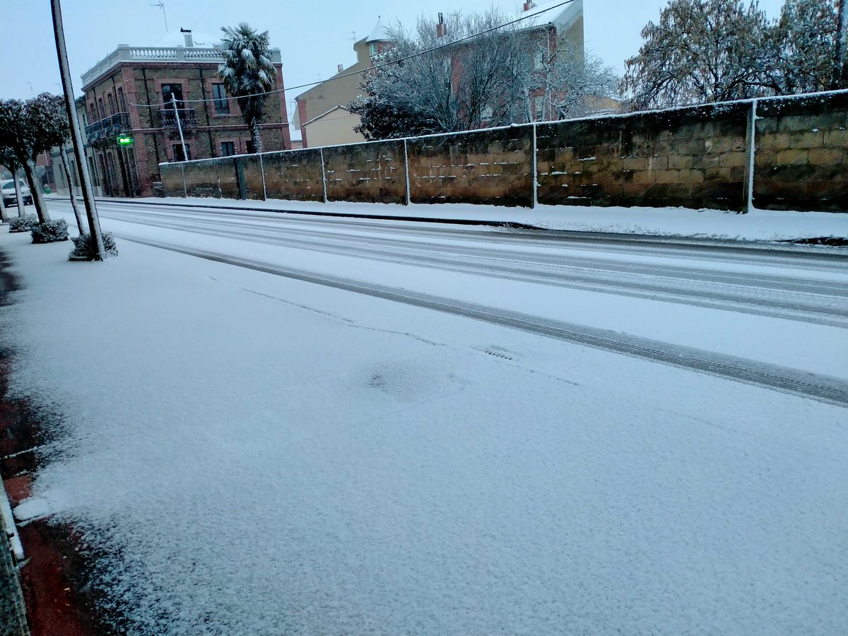 Stich Promo tweet media