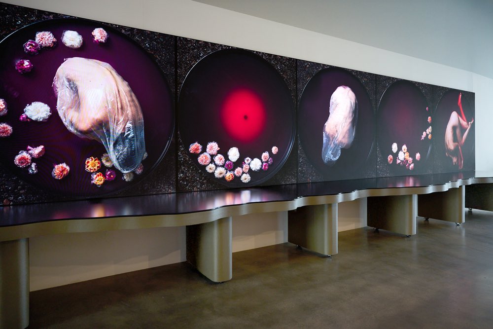 Maria Fynsk Norup 💎🍂 eth/tez tweet media