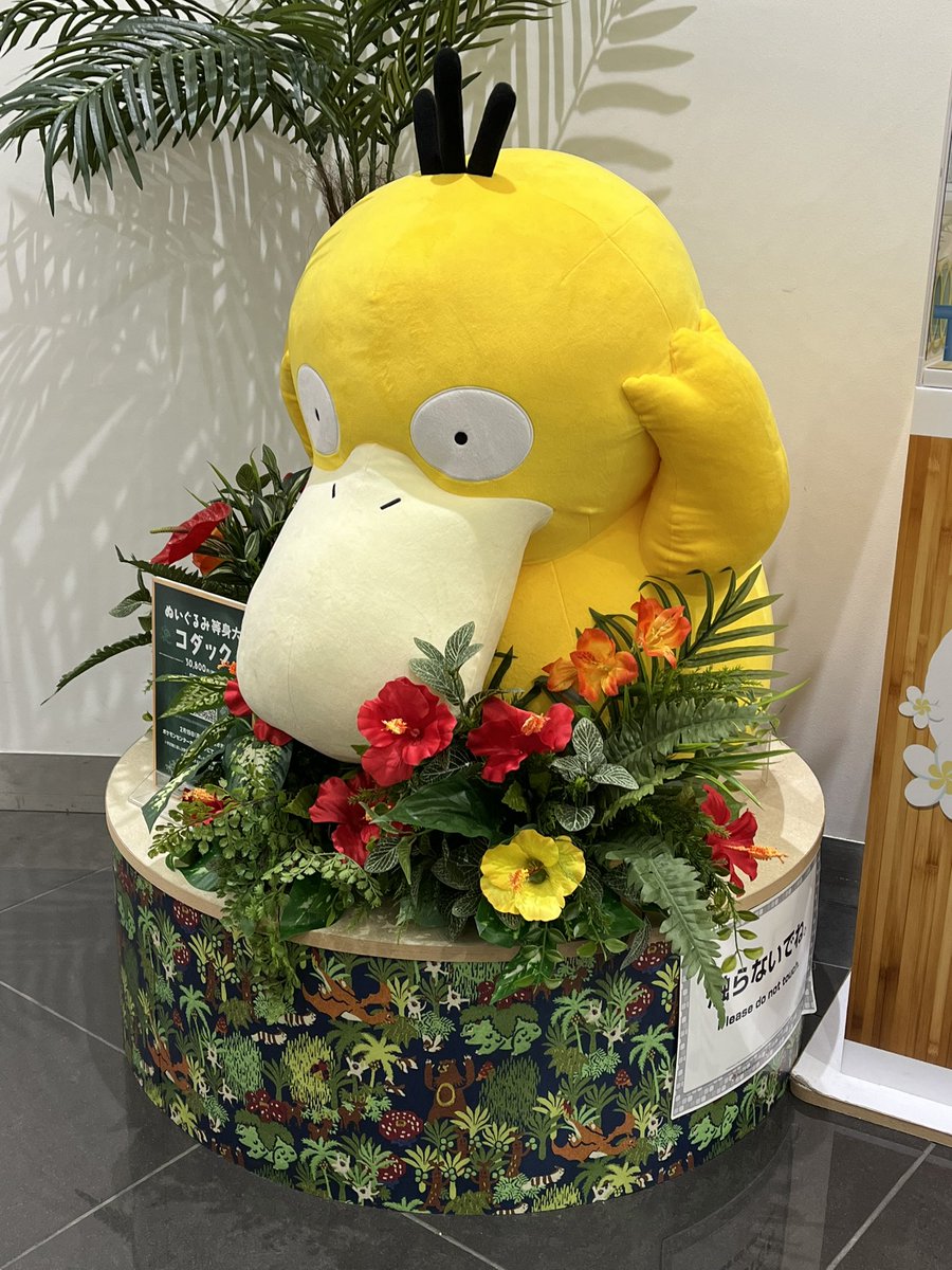 ヤドンちゃんのお友達やぁん