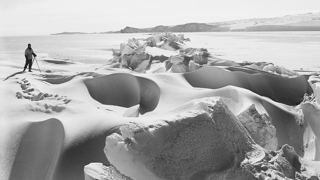 Image for the Tweet beginning: Stephen Johnson reveals for BBC