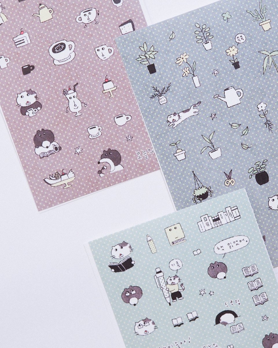 고사리 tweet media