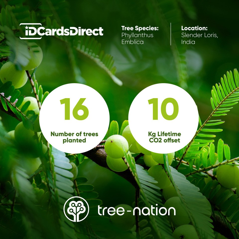 idcardsdirect's tweet photo. Thank you to everyone who has supported our GreenID initiative in Q4! 🌳💚 

Your Q4 purchases from our eco-friendly range have helped plant 16 trees in India! That's making a real difference for reforestation.

Shop our eco-friendly range here: https://t.co/L6xJ0ShkwI https://t.co/v8HRXMyjLR
