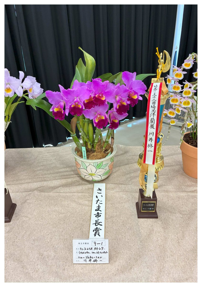 🌺洋蘭展が開催中です🌺 魅力たっぷりな500点以上の洋蘭が展示され