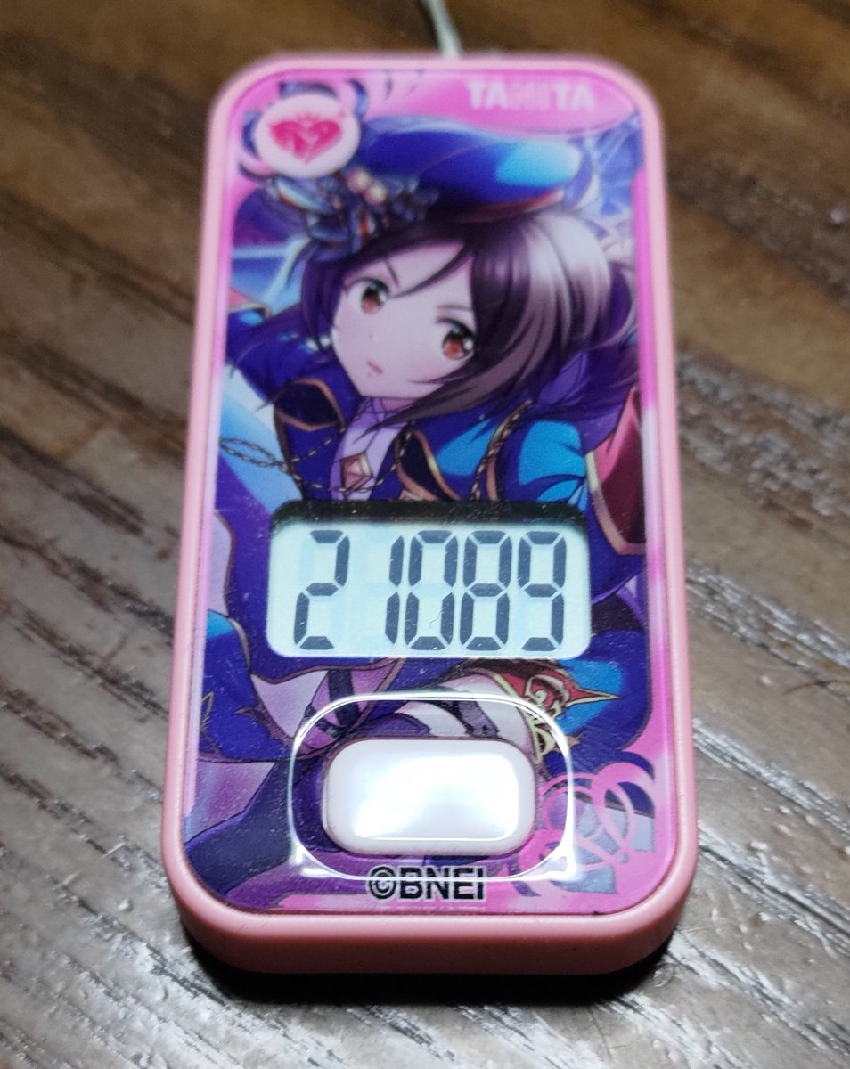 明日に向かって歩け! 今日だけ24000→20000 どれくらい歩いてるんだろうって気になって今日1日万歩計さげてみた