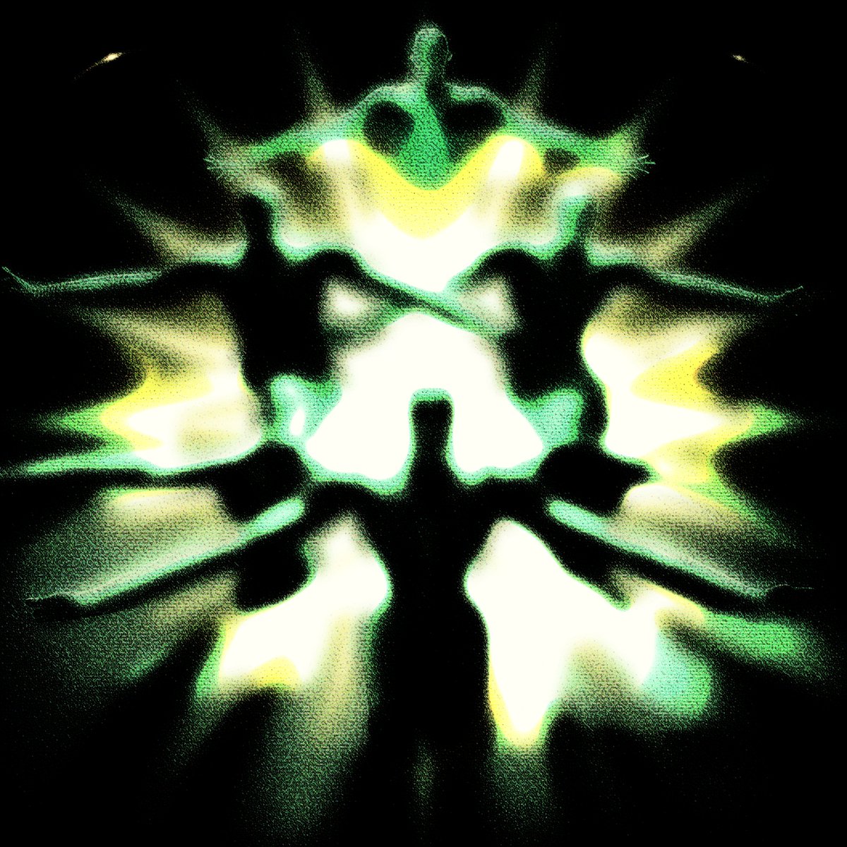 Cactus Lockwood tweet media