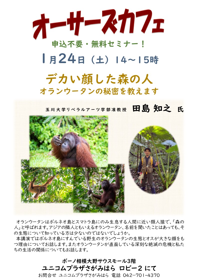 明日24日（土）はオーサーズカフェ。今回は玉川大学准教授田島知之氏による、「デカい顔した森の人　オランウータンの秘密を教えます」と題したお話です。是非、お越しください。