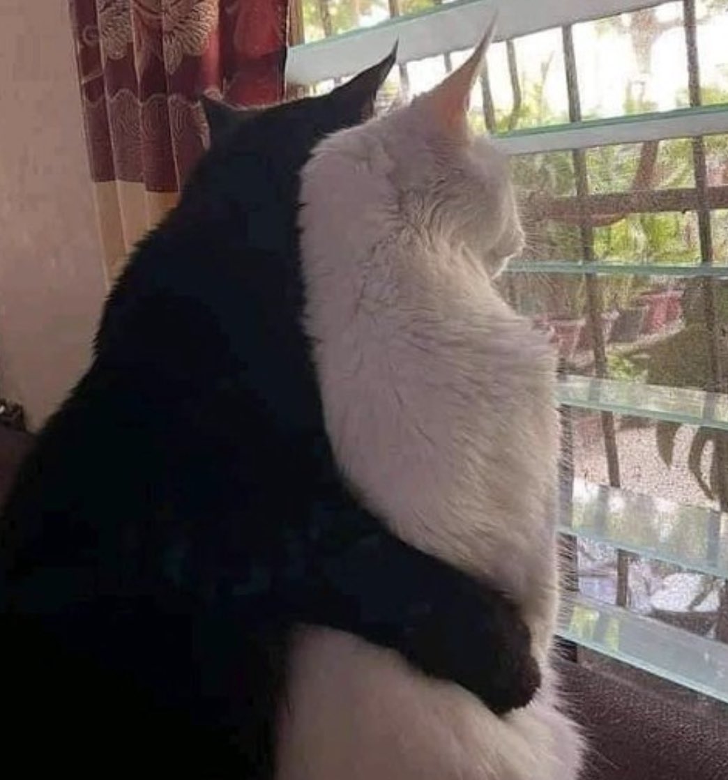 ᴍɪʏᴜ🎐 tweet media